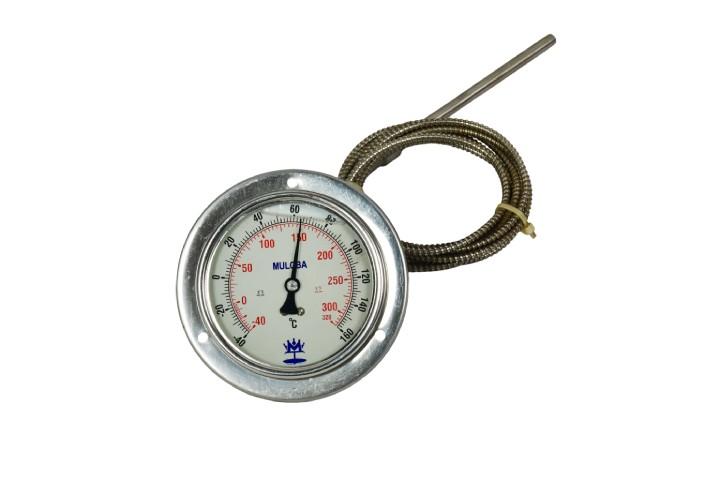 Thermometer